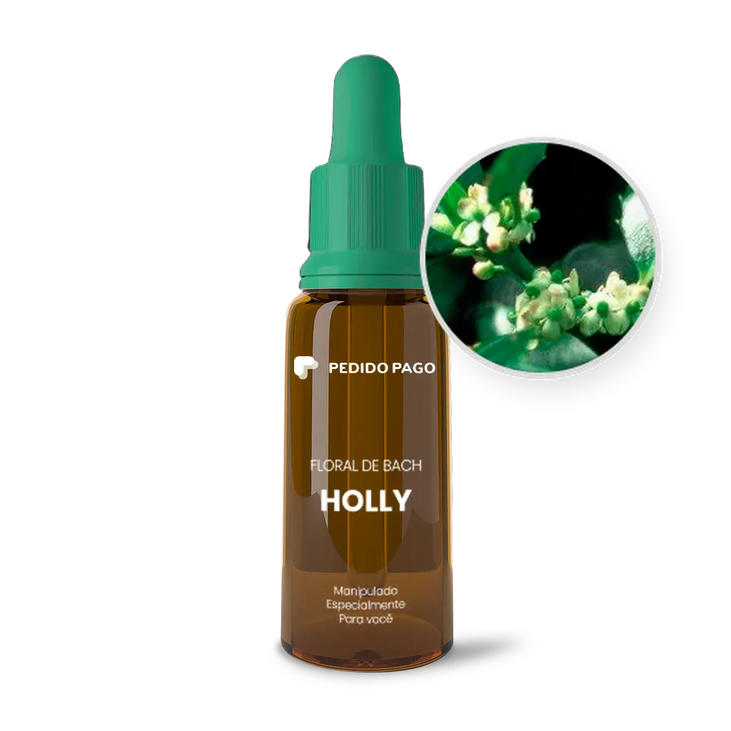 Imagem do Floral de Bach Holly