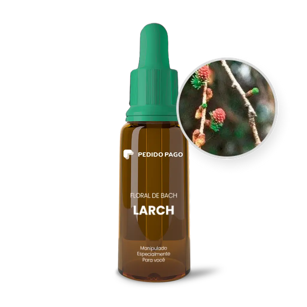 Imagem do Floral de Bach Larch
