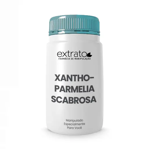 Imagem do Xanthoparmelia Scabrosa