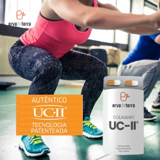 Colágeno Tipo II - UC II®