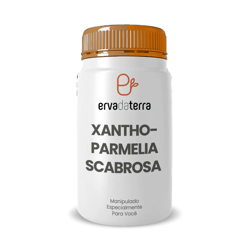 Imagem do Xanthoparmelia Scabrosa