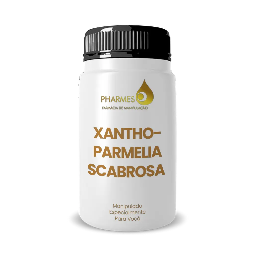 Imagem do Xanthoparmelia Scabrosa