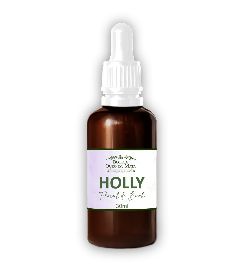 Imagem do Floral de Bach Holly
