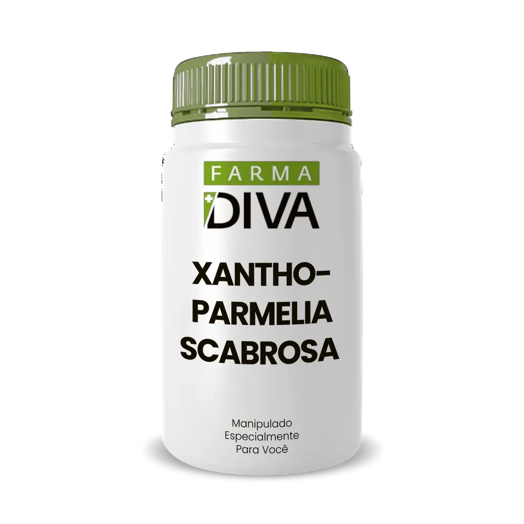 Imagem do Xanthoparmelia Scabrosa