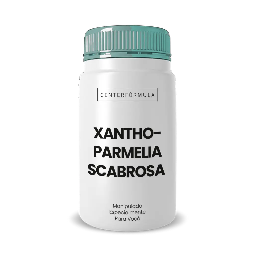 Imagem do Xanthoparmelia Scabrosa