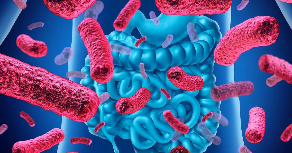 Microbiota intestinal: O intestino influencia.