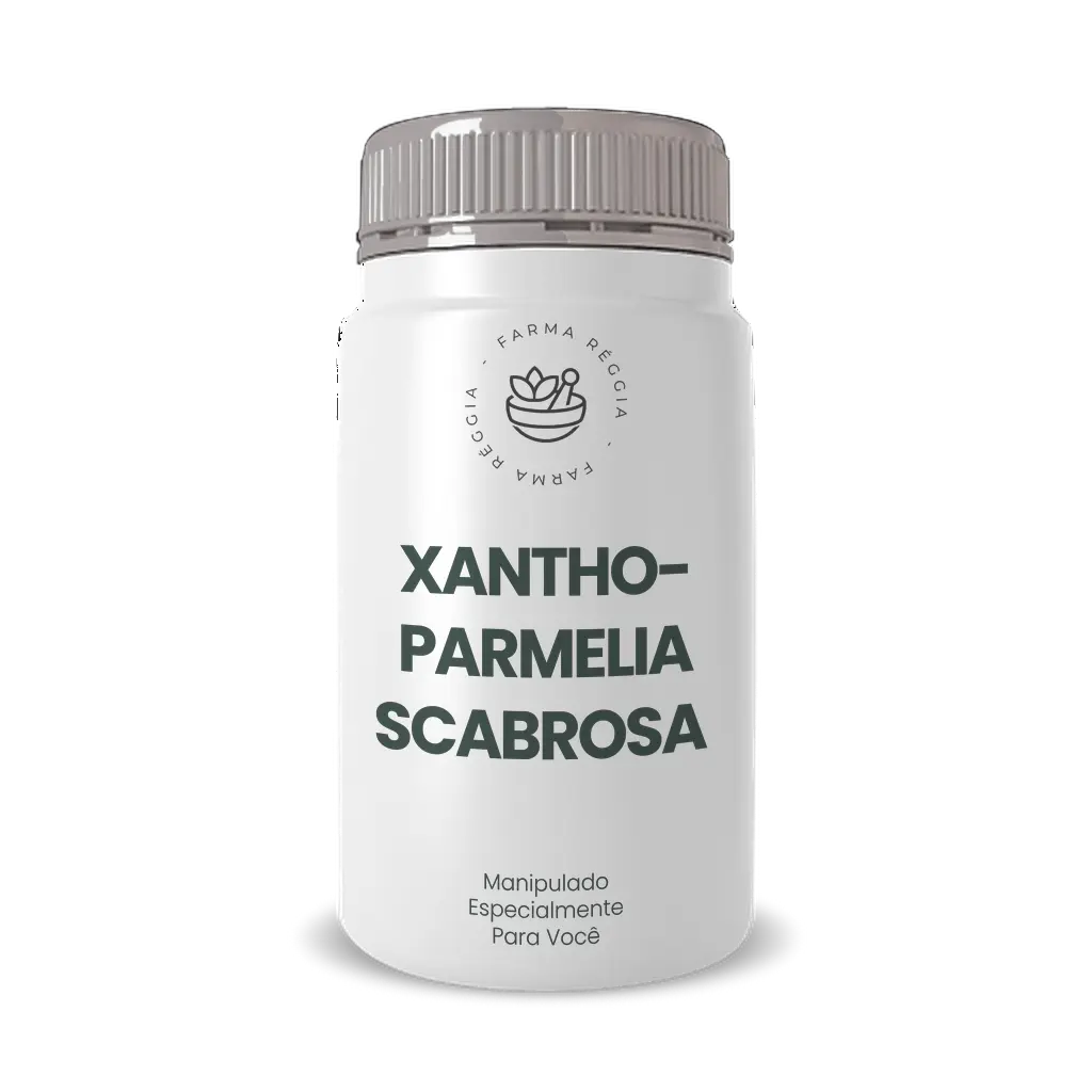 Imagem do Xanthoparmelia Scabrosa