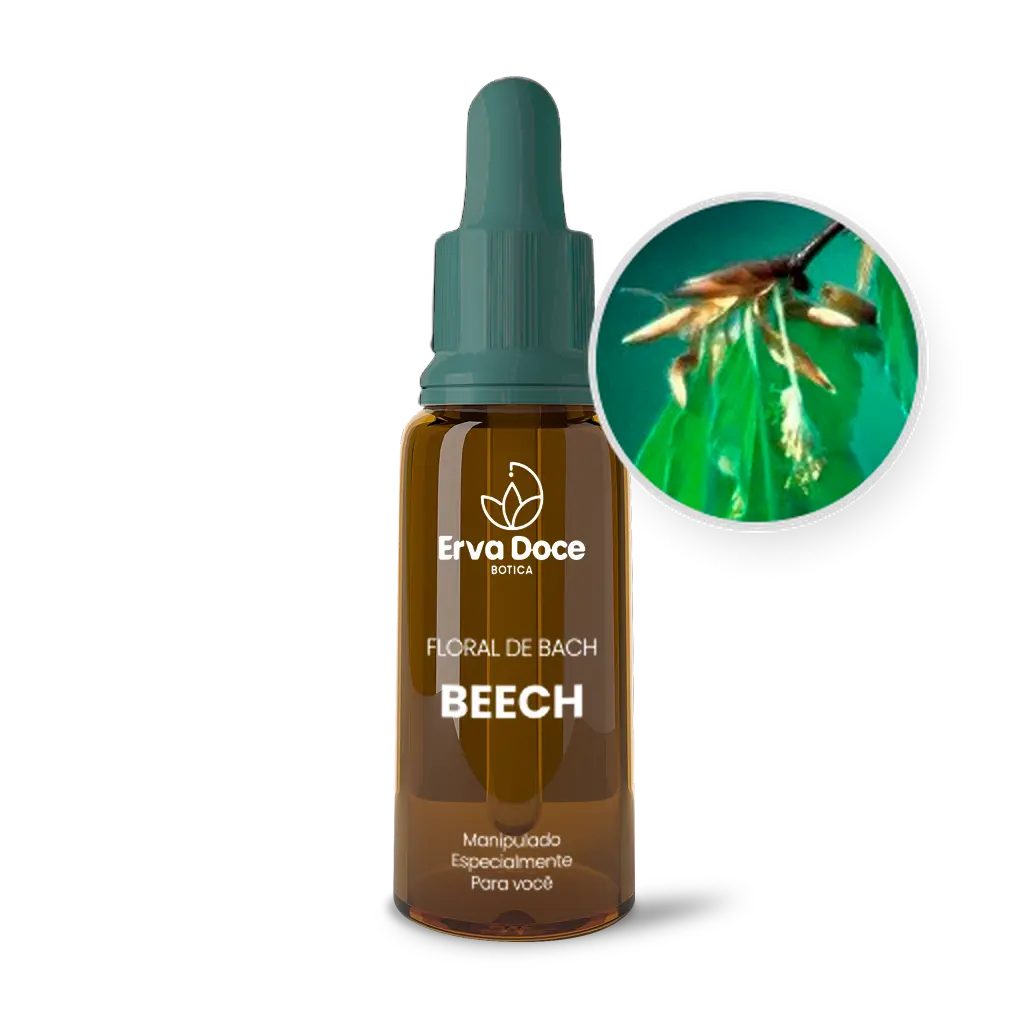 Imagem do Floral de Bach Beech