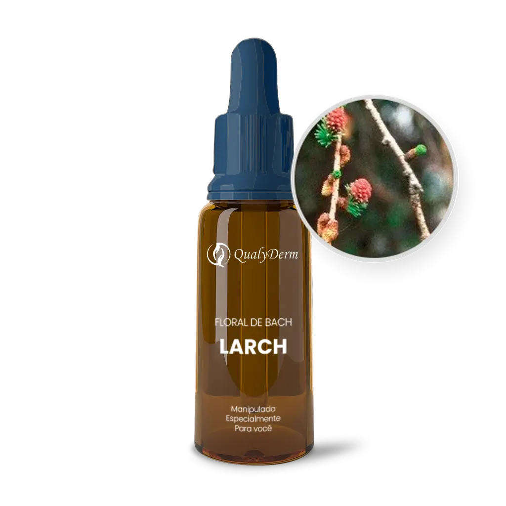Imagem do Floral de Bach Larch