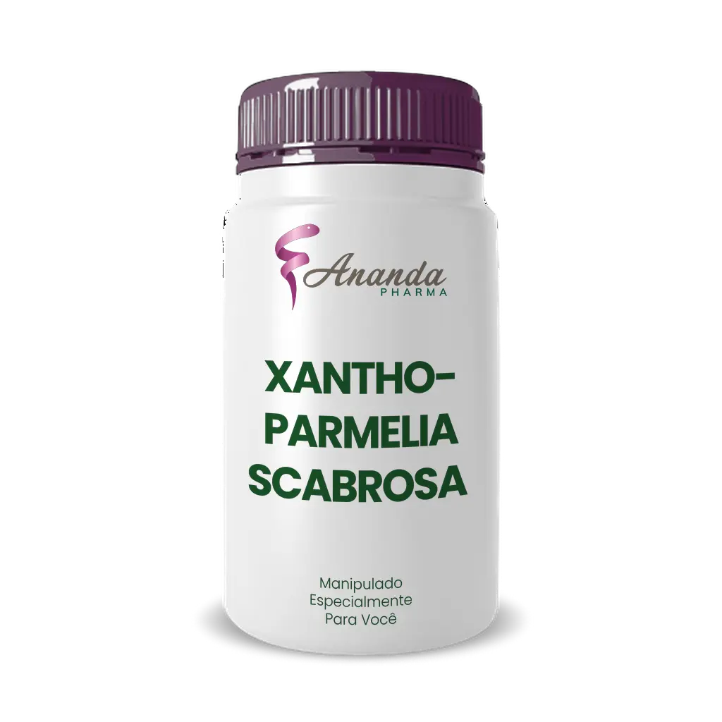 Imagem do Xanthoparmelia Scabrosa
