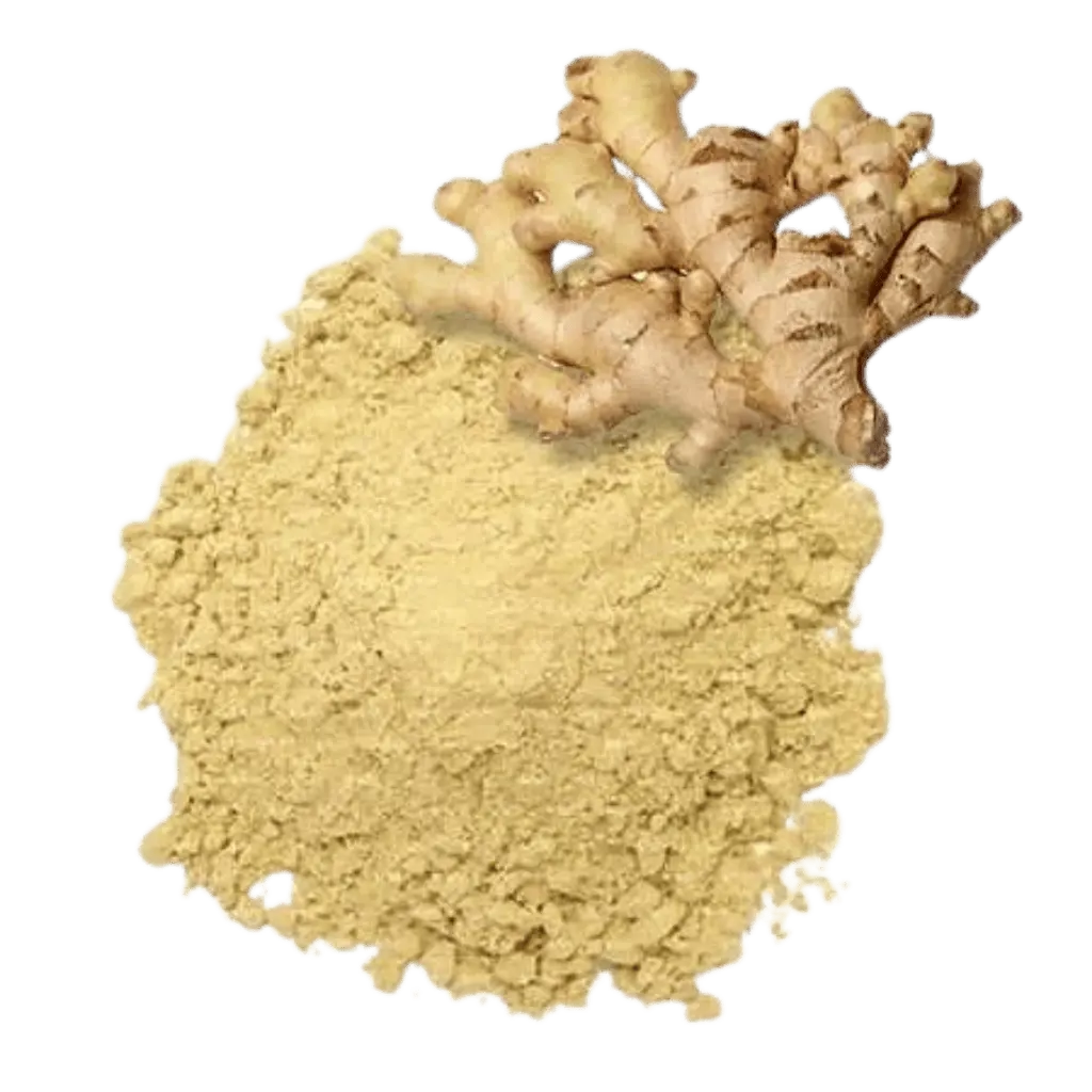 Imagem do Gengibre Pó 30 g