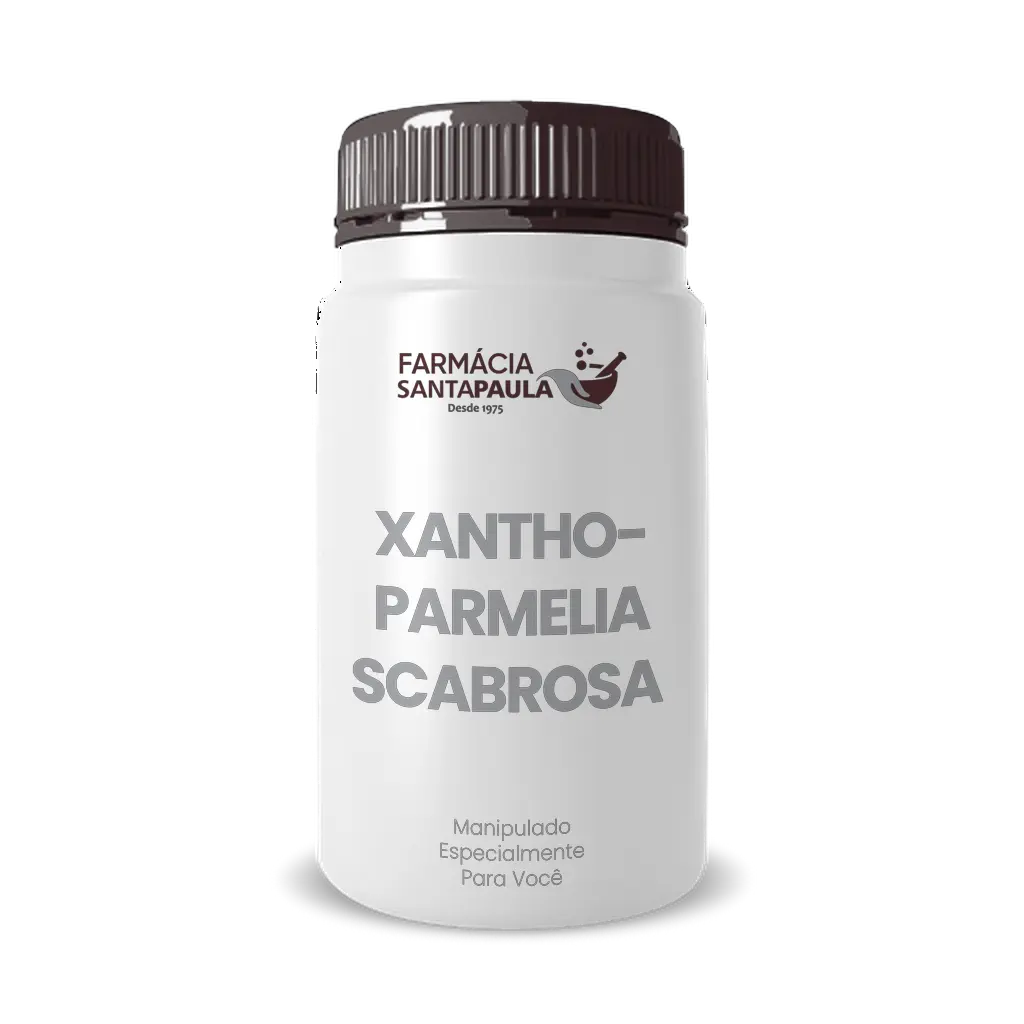Xanthoparmelia Scabrosa