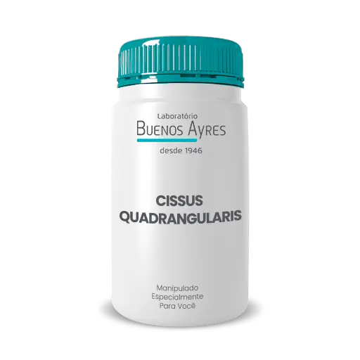 Imagem do Cissus quadrangularies