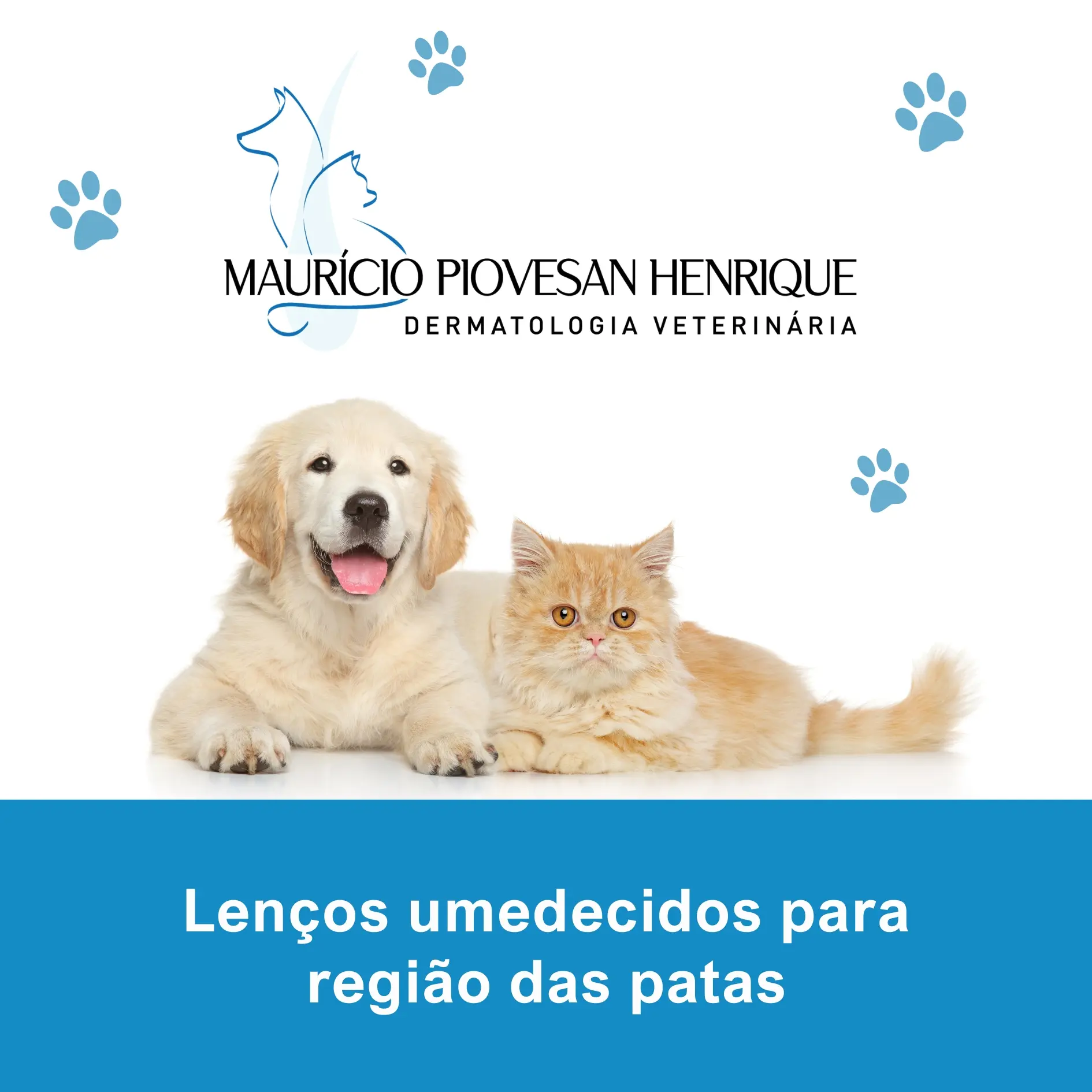 Imagem do Lenço Umedecido Patas