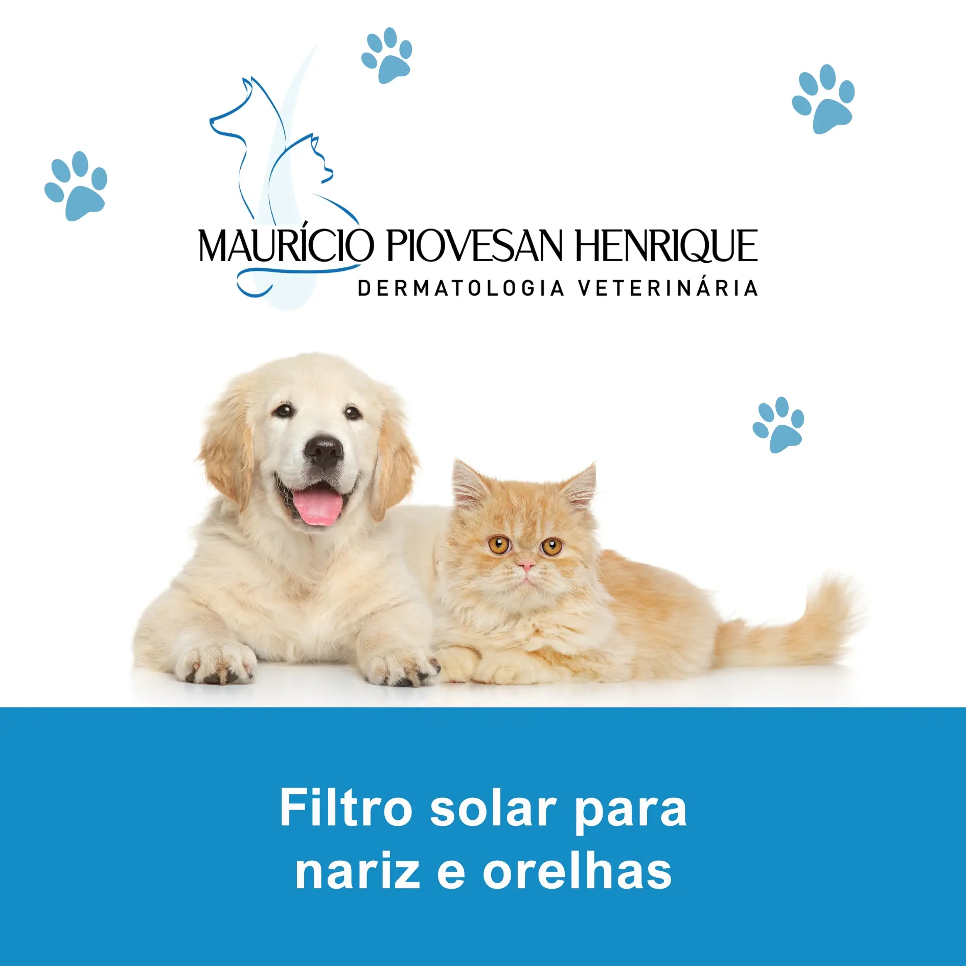 Imagem do Filtro Solar Nariz/Orelha