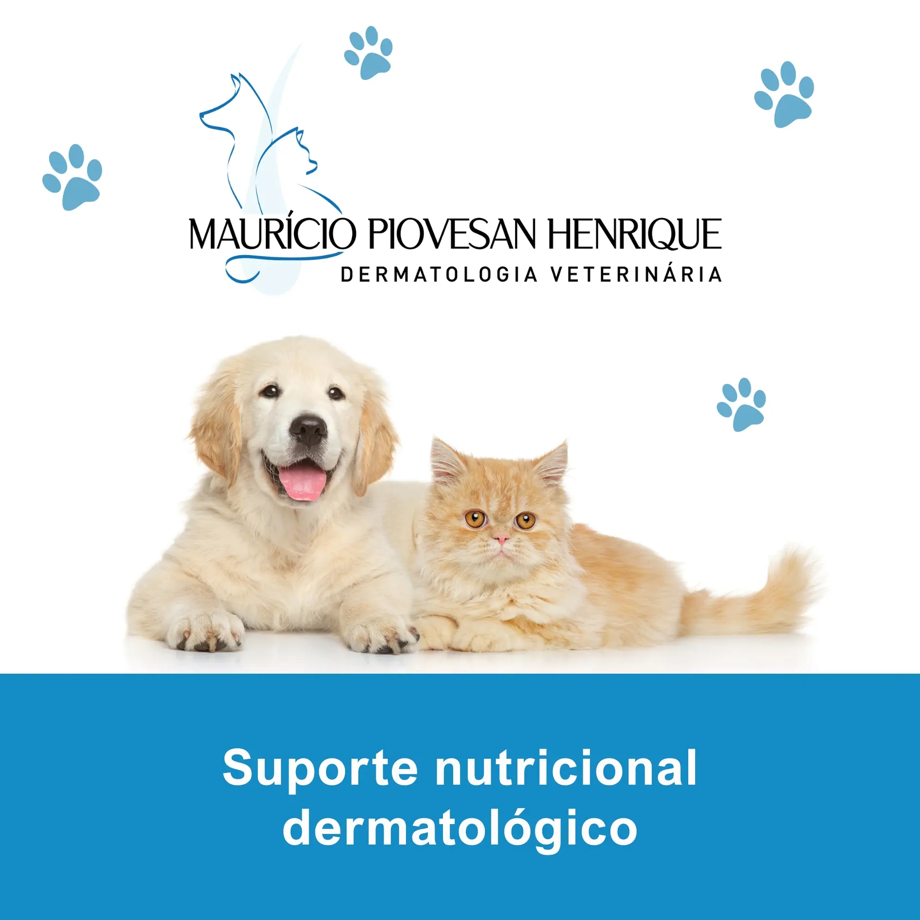 Imagem do Suporte Nutricional