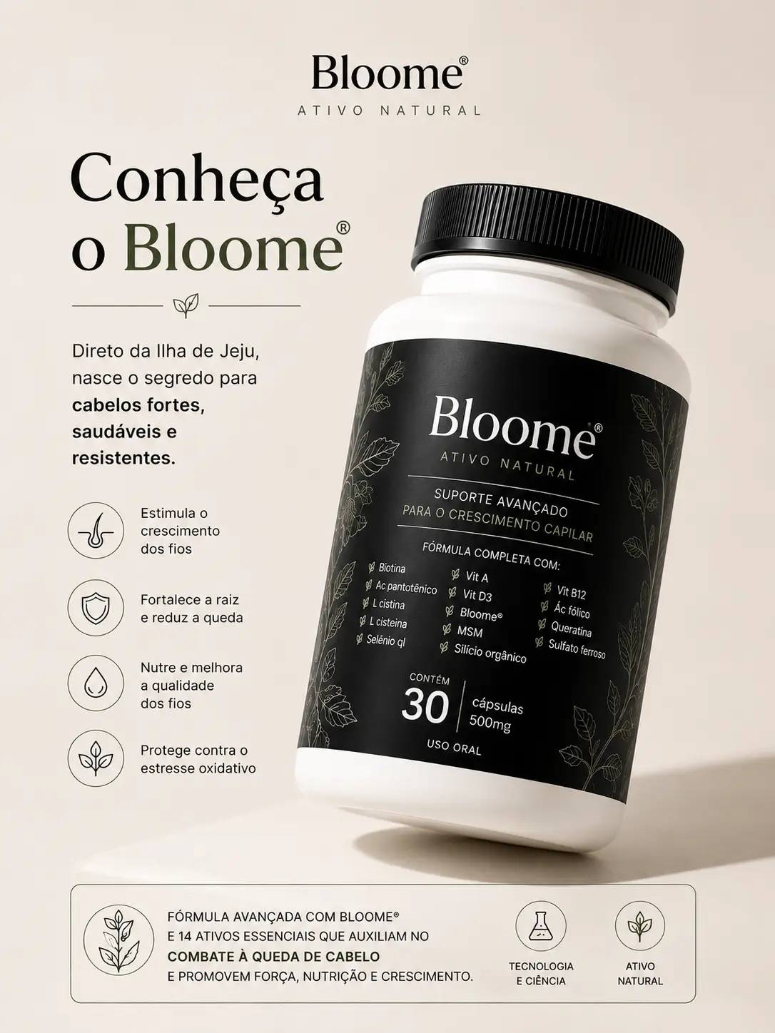Imagem do Bloome + ativos
