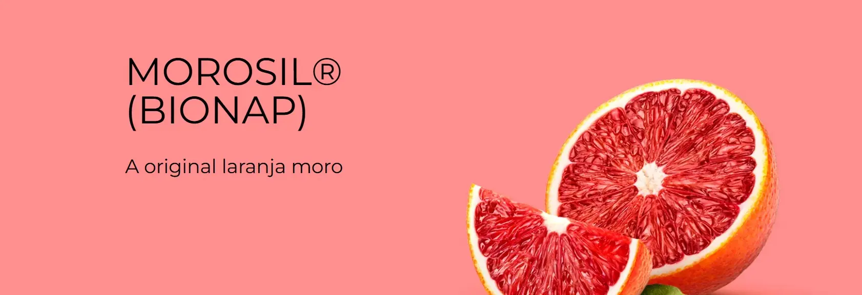 Banner principal