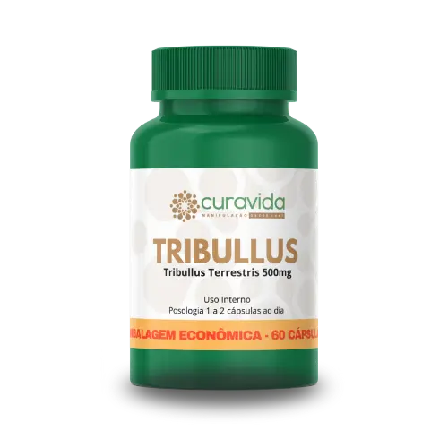 Imagem não encontrada