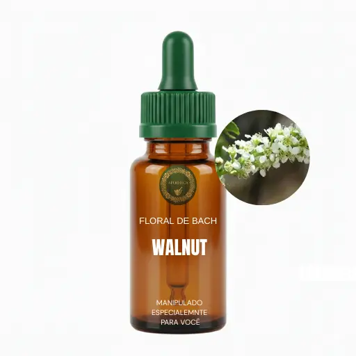 Imagem do Floral de Bach Walnut