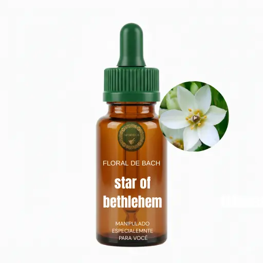 Imagem do F. Bach star of Bethlehem