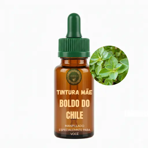 Imagem do Boldo do chile TM