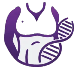 Shape & Metabolismo  image