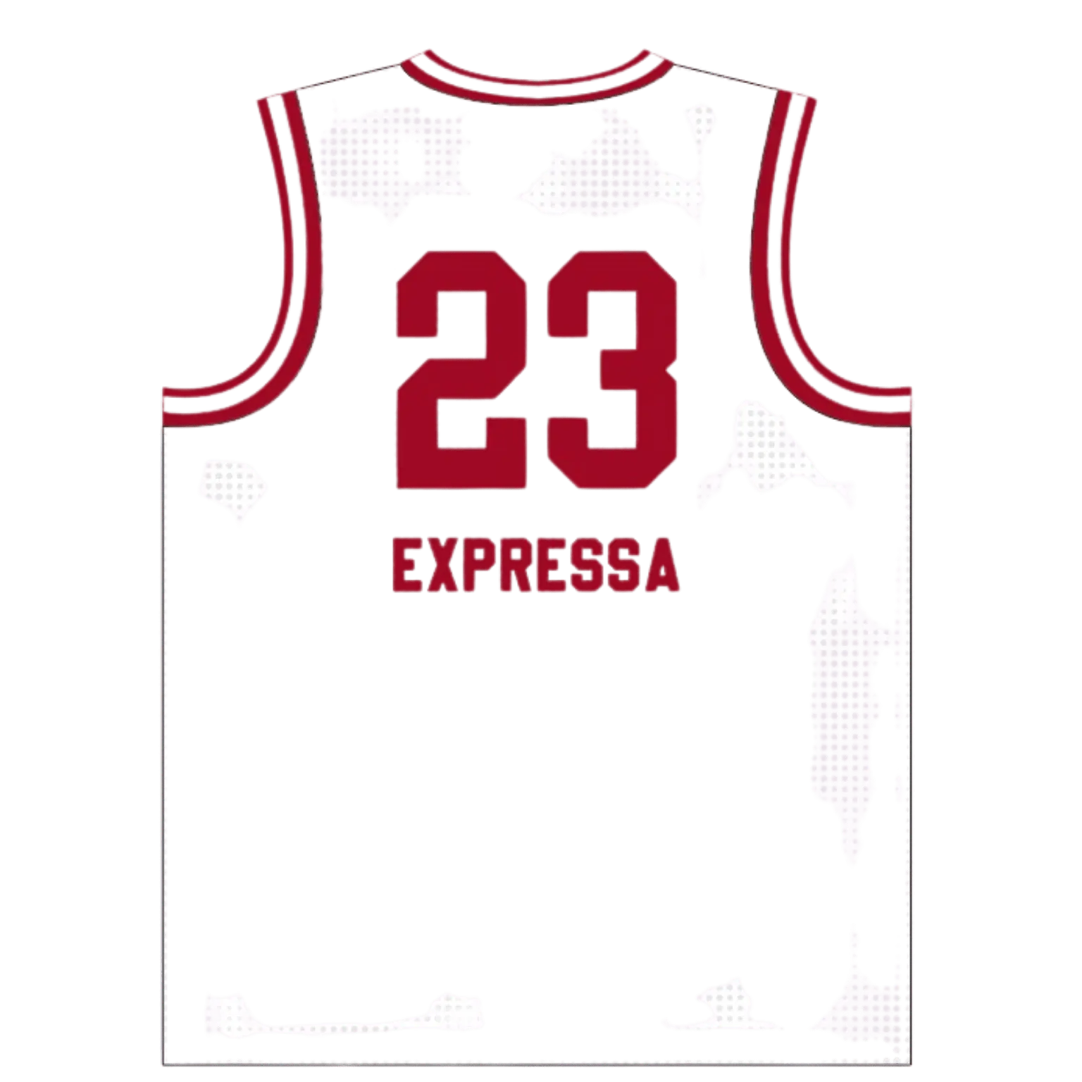 Imagem do Regata Expressa 23