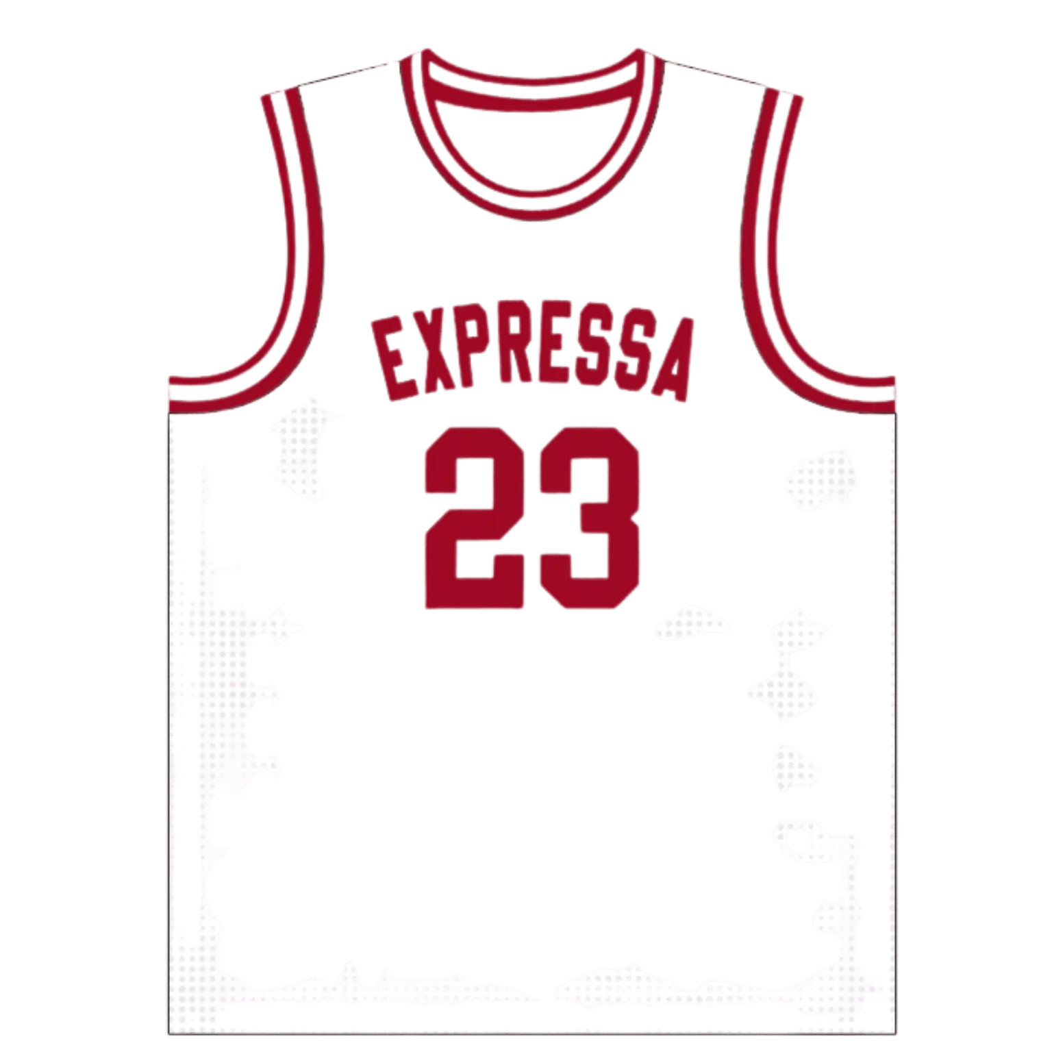 Imagem do Regata Expressa 23