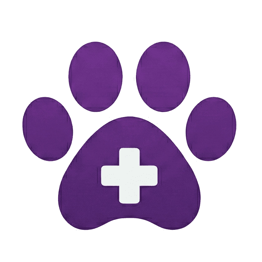 Expressa VET image
