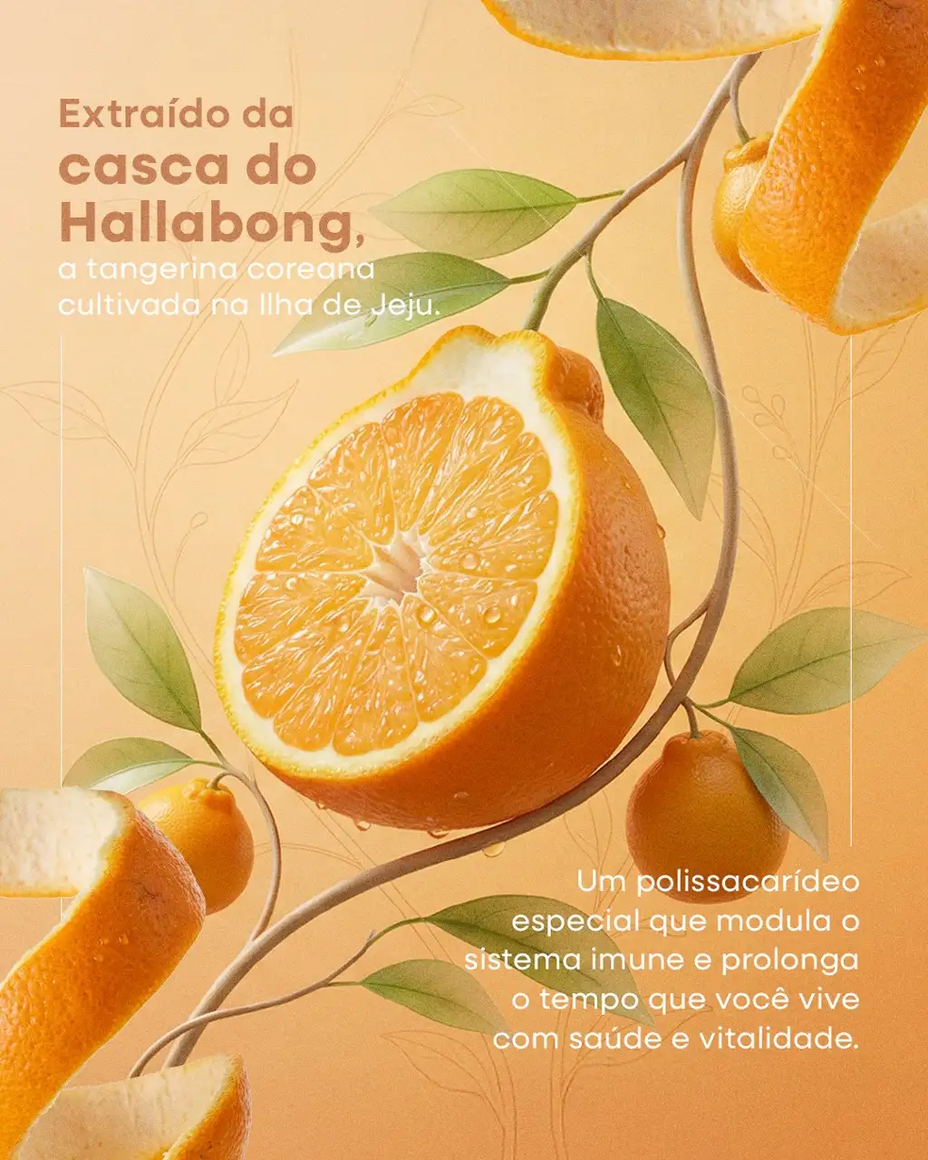 Item do produto