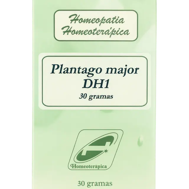 Plantago Major DH1